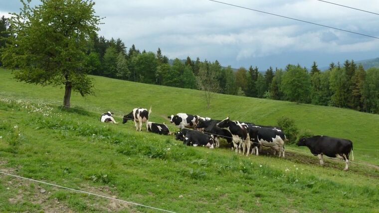 Počasí sleduje farmář desítky let. „Je teď rozblázněné,“ říká