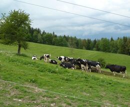 Počasí sleduje farmář desítky let. „Je teď rozblázněné,“ říká