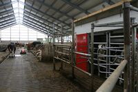 Bronzová příčka ve Farmě roku 2019 - Farma Frühbauerovi