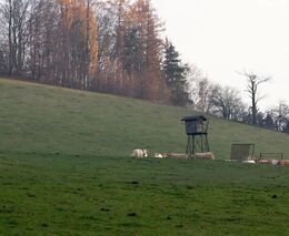 Život v podzámčí 