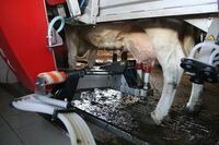 Nepřízeň a překážky posilují
