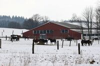 Živočišná výroba a brambory aneb Region, který boří celostátní průměry  