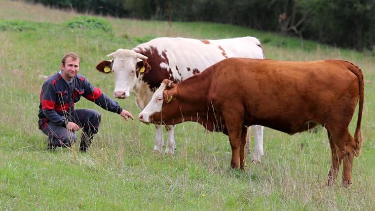 Jak dál s podporou mladých začínajících zemědělců?