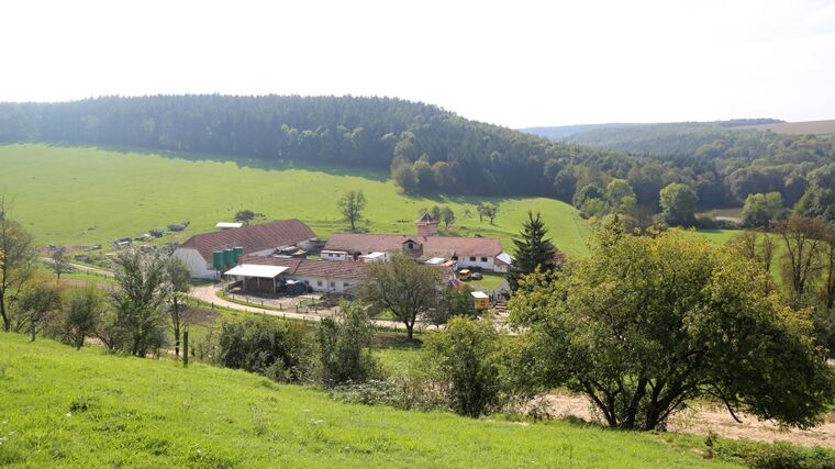 Jalový dvůr – malý ráj pro zvířata i lidi    