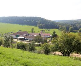 Jalový dvůr – malý ráj pro zvířata i lidi    