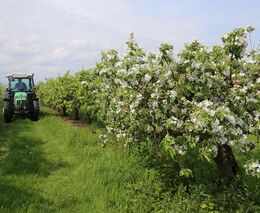 Jméno jako nejlepší značka kvality