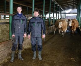 Když sliby nejsou chyby