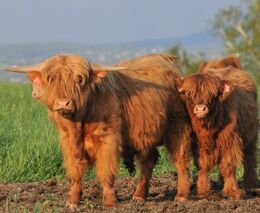 Vzdělávání generací pro budoucnost aneb FARMÁŘSKÉ SLAVNOSTI trochu jinak
