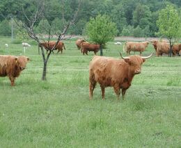 4. místo: Farma Koňakov - ekologická farma v Podbeskydí