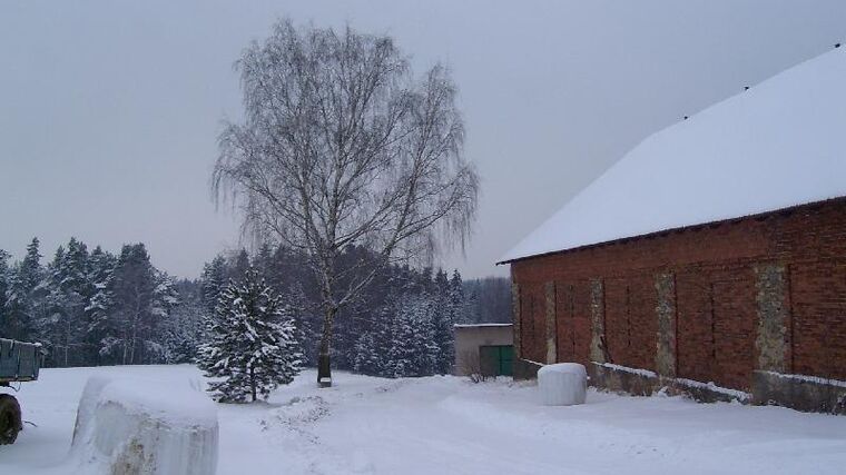 Infoservis z IFOAM Organics Europe prosinec 2024 a leden 2025