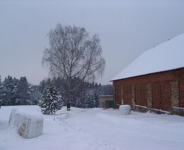 Infoservis z IFOAM Organics Europe prosinec 2024 a leden 2025