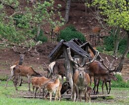 Blýskání na lepší časy