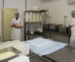 Zavřené trhy. Farmáři utlumují výrobu, část úrody museli zaorat