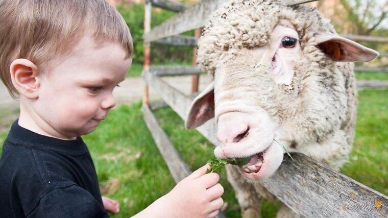 Farmářské slavnosti poprvé v západních Čechách