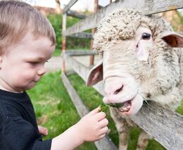 Farmářské slavnosti poprvé v západních Čechách