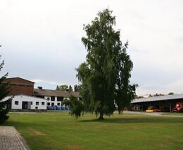 Molíkův statek opět žije 