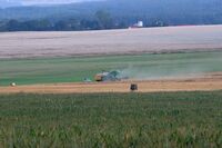 Molíkův statek opět žije Molíkův statek opět žije