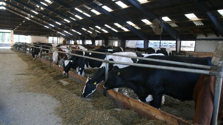 Čtvrté místo ve Farmě roku - rodina Linhartových, ASZ Kladno, Beroun