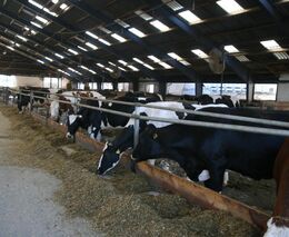Čtvrté místo ve Farmě roku - rodina Linhartových, ASZ Kladno, Beroun