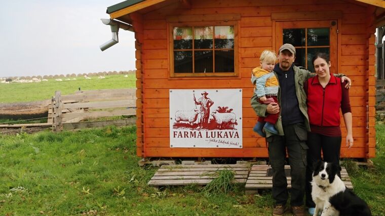 Brambory sklízejí jako předci. Jen s pomocí pluhu a tažných koní
