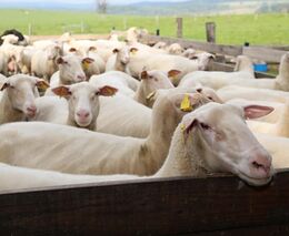 Tomáš Uhnák: Staň se farmářem aneb Změna začíná vzděláváním
