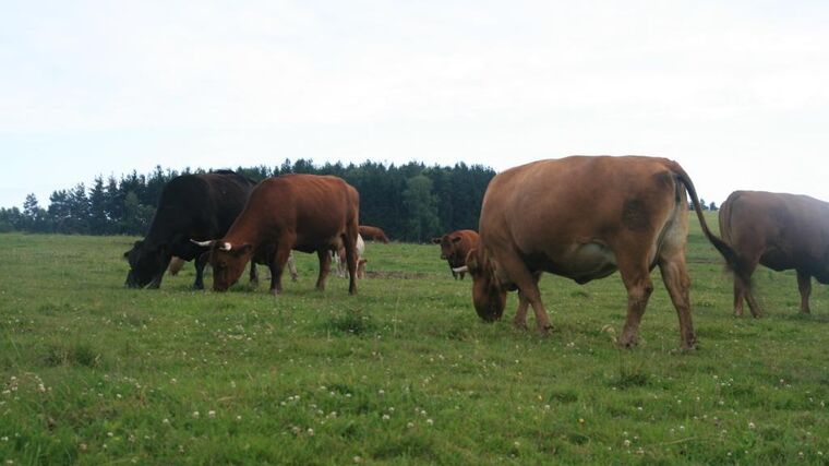 Farma rodiny Maurerových je členem ASZ Český Krumlov