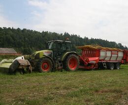 Zemědělcům kvůli suchu dochází seno, zkusí pěstovat odolnější plodiny