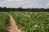 Stříbrná příčka ve Farmě roku 2013 - farma rodiny Hájkových 