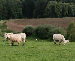 Úskalí Jednotné žádosti 2021 - výukové video