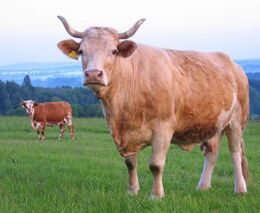 Sedmadvacítka dosáhla politické dohody o Health Checku