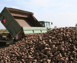 Máme, co jste chtěli