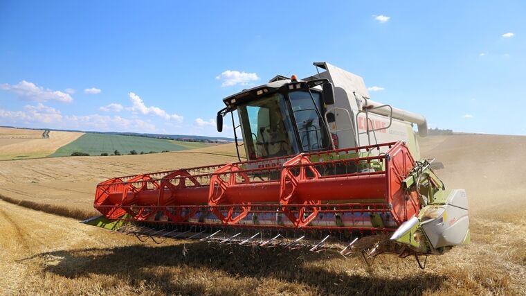 Letošní žně jsou nebývale pomalé, zatím jsou sklizena 3 pct ploch obilovin