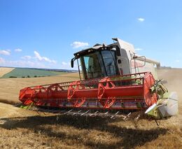 Letošní žně jsou nebývale pomalé, zatím jsou sklizena 3 pct ploch obilovin