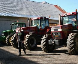 Veškeré nepřízni navzdory 