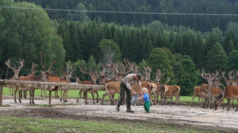 Bronz ve Farmě roku 2012 - farma Pavla Vokála, Hliniště 