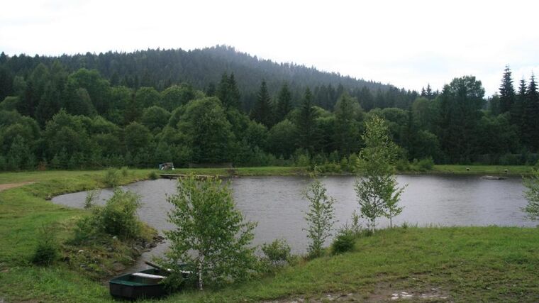 V chovu ryb ujíždí vlak