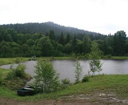 V chovu ryb ujíždí vlak