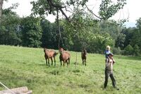 Bronz ve Farmě roku 2012 - farma Pavla Vokála, Hliniště 