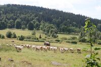 Bronzová příčka ve Farmě roku 2018 - Farma Pavla Vokála