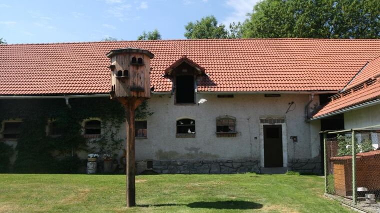 Farma rodiny Peštových, Bor, ASZ Příbram - 3. místo