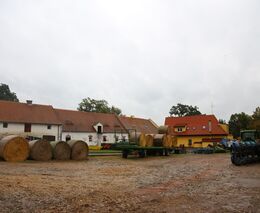 Zemědělství loni rostlo, suchu navzdory