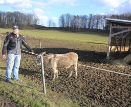 Husy chová kvůli jedinému dni v roce. Hejno se promění v pečínku