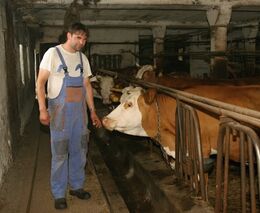 Josef Řezníček aneb „Přes všechna trápení je sedlačina můj život“ 