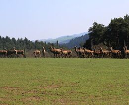 Hospodaření v sousedství přírodní rezervace