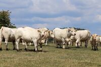 Stříbro ve Farmě roku 2018 - Statek rodiny Hatlákových