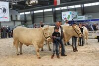 Stříbro ve Farmě roku 2018 - Statek rodiny Hatlákových