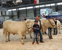Veletrh ANIMAL TECH a Národní výstava hospodářských zvířat proběhnou bez omezení