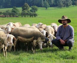 Mantra svobodného žití a hospodaření skutečností 