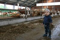 Sříbro ve Farmě roku 2017 - Farma rodiny Mačlových