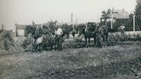 Žili, byli bratři tři… a jejich předci